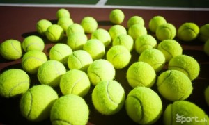 tenisove-lopticky-a-mrte_4.jpg